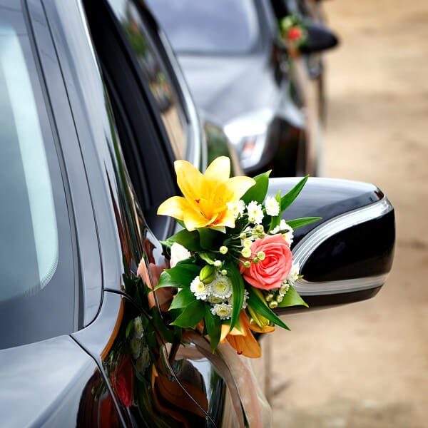 Wedding Transfer Img1
